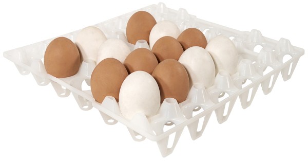 Eiertablett, Eierpappe, Kunststoff, 30x30x5 cm, weiß/rot wählbar